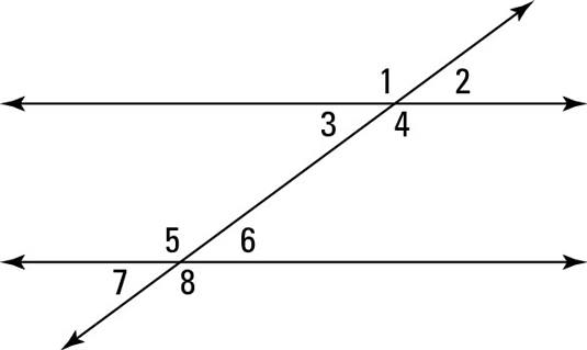 mt-5 sb-5-Angle Relationships with Parallel Lines and a Transversalimg_no 379.jpg